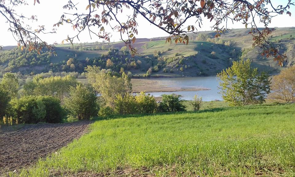 Havza Dündarlı Köyü Resileri 2