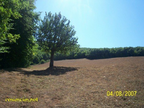 Havza Elmacık Köyü Resimleri 11