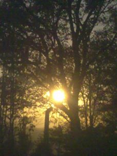 Havza Elmacık Köyü Resimleri 4