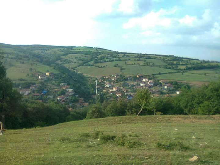 Havza Elmacık Köyü Resimleri 8