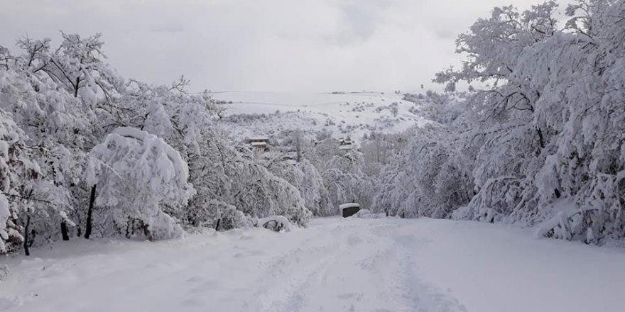 Havza Ereli Köyü Resimleri