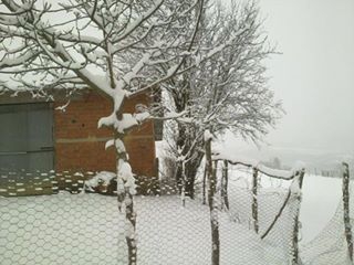 Havza Erikbelen Köyü Resimleri 3