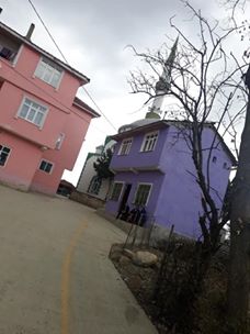 Havza Erikbelen Köyü Resimleri 7