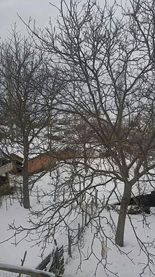 Havza Ersandık Köyü Resimleri 11