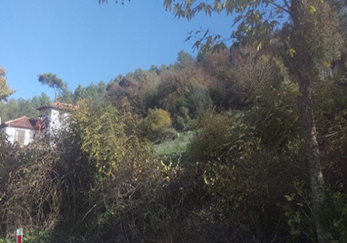 Ula Çıtlık Köyü Resimleri 2