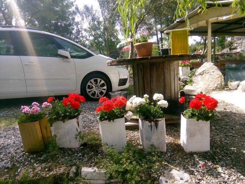 Ula Çiçekli Köyü Resimleri 1