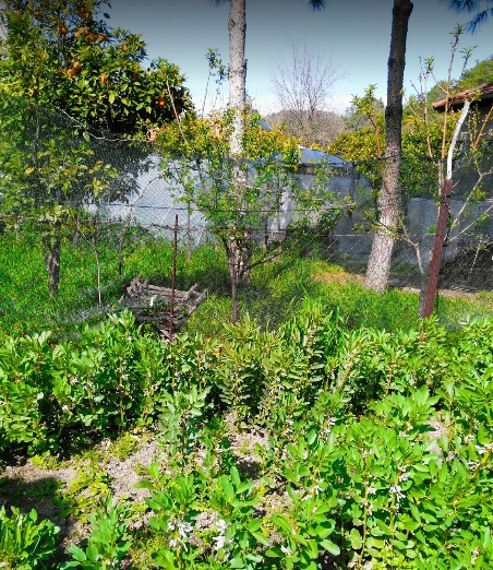 Ula Kızılyaka Köyü Resimleri 5