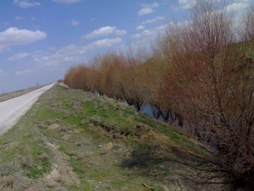 Çumra İstiklal Köyü Resimleri 2