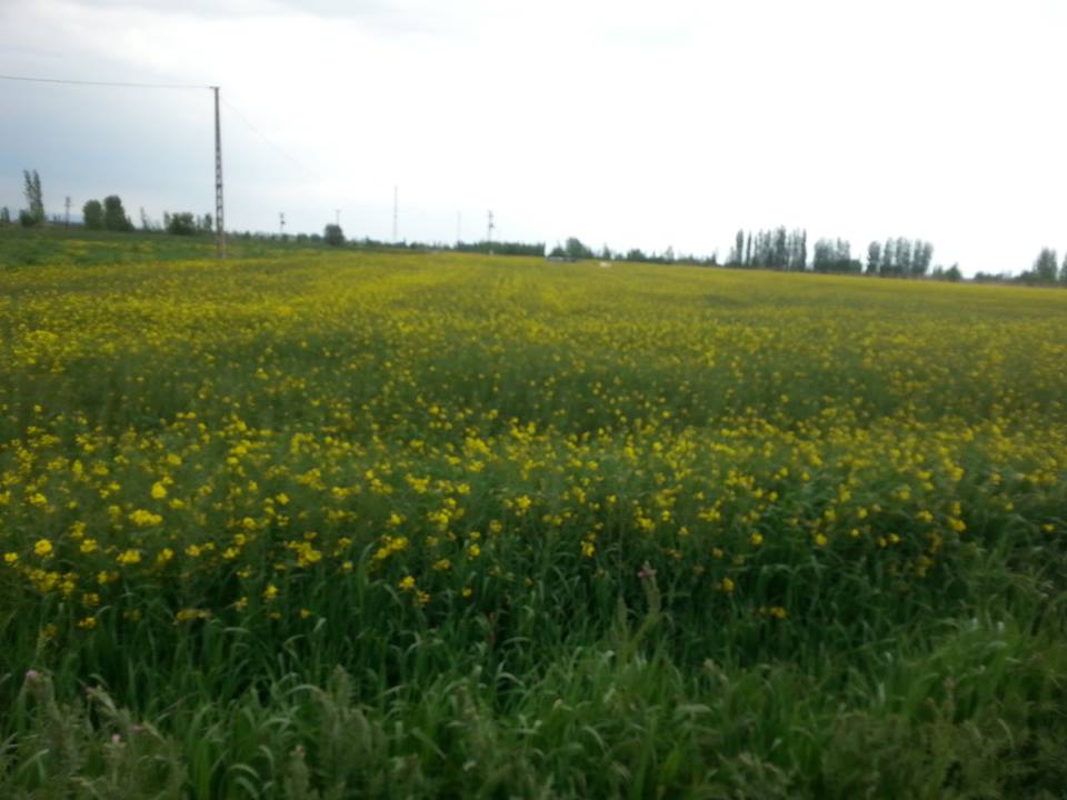 Çumra Karkın Köyü Resimleri 10