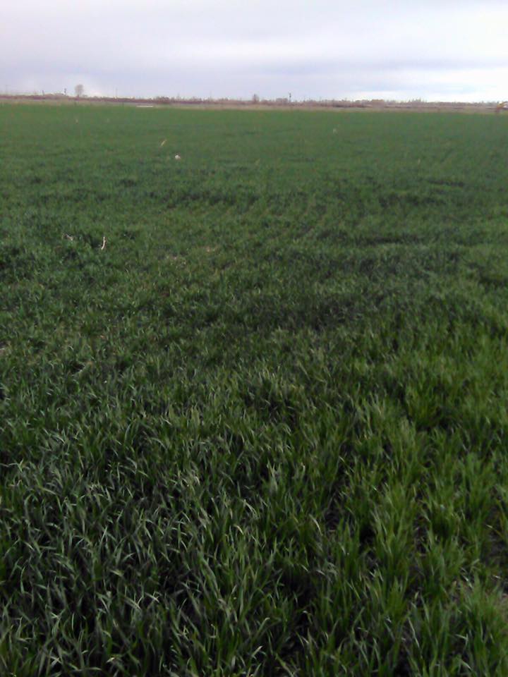 Çumra Küçükköy Köyü Resimleri 5