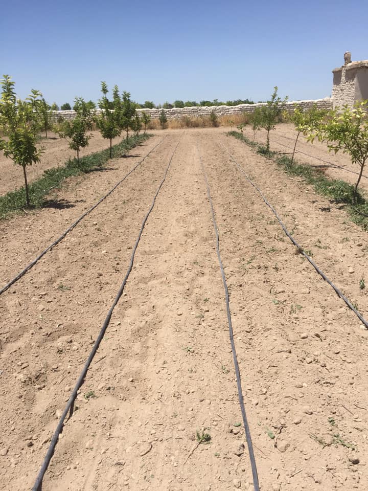 Çumra Türkmencamii Köyü Resimleri 2