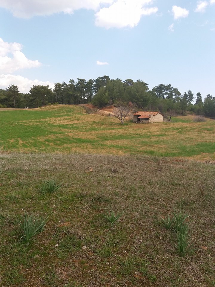 Yatağan Alaşar Köyü Resimleri 1