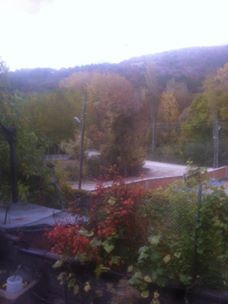 Havza Eymir Köyü Resimleri 10