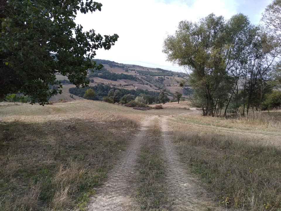 Havza Eymir Köyü Resimleri 4