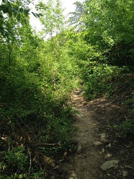 Havza Eymir Köyü Resimleri 9