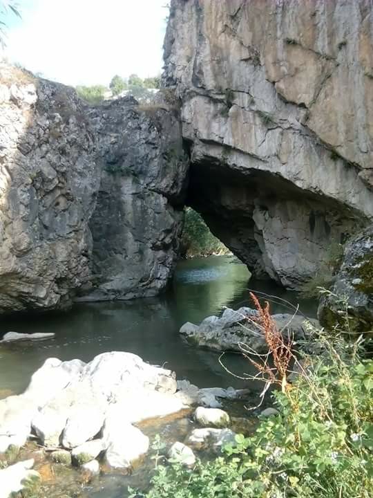 Havza Hacıbattal Köyü Resimleri 5