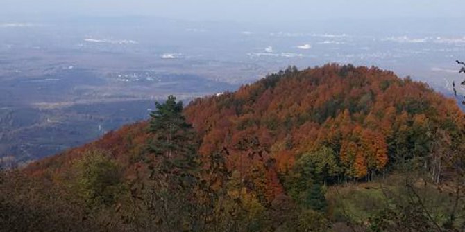 Hendek Balıklıihsaniye Köyü Resimleri 2