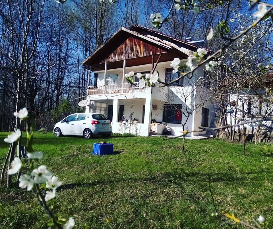 Hendek Balıklıihsaniye Köyü Resimleri 3