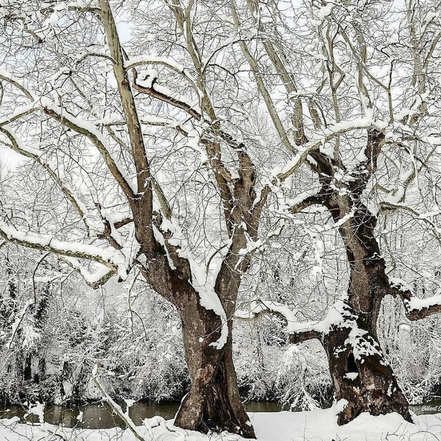 Hendek Balıklıihsaniye Köyü Resimleri 4