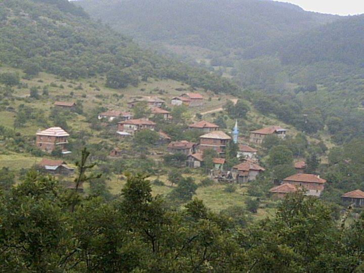 Yatağan Bozarmut Köyü Resimleri 2