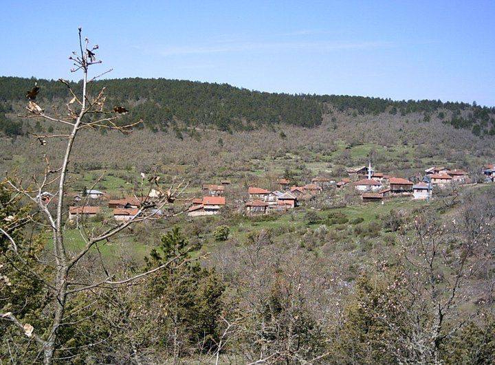 Yatağan Bozarmut Köyü Resimleri 5