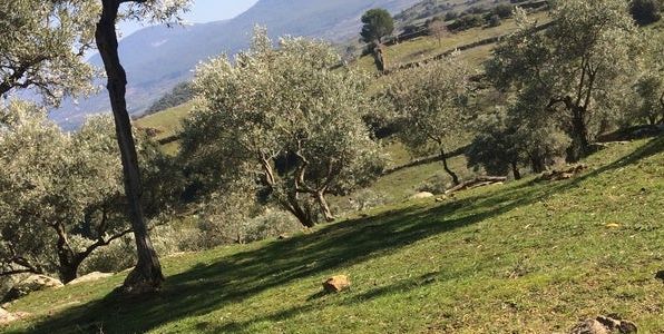 Yatağan Çakırlar Köyü Resimleri 3