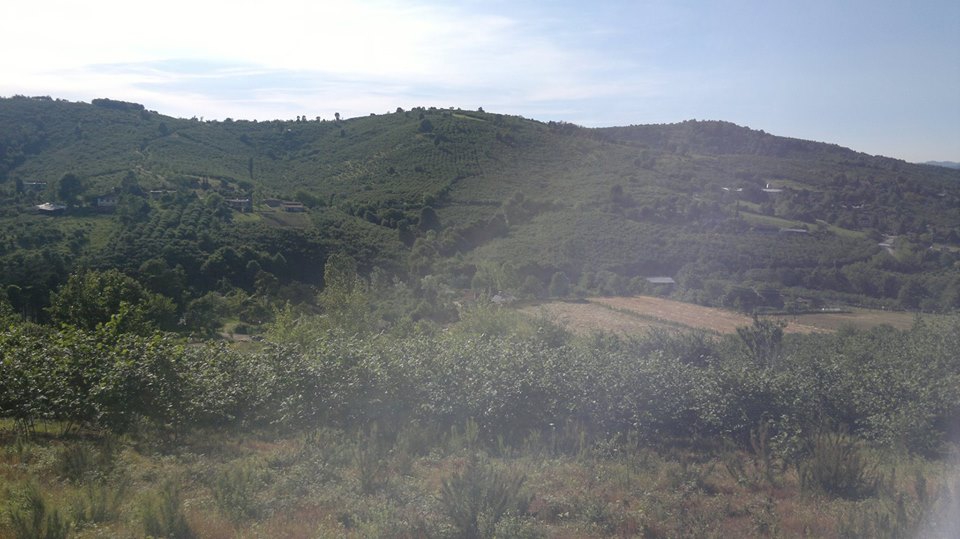 Hendek Çobanyatak Köyü Resimleri 4
