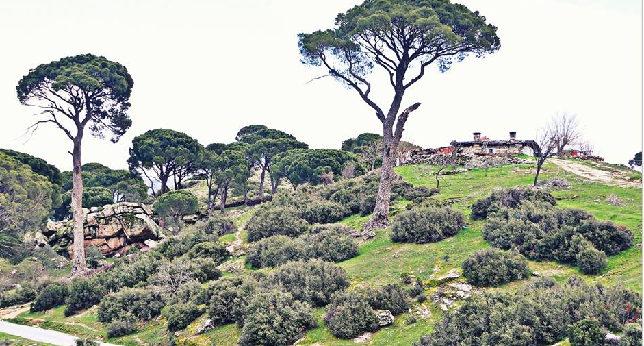 Yatağan Gökgedik Köyü Resimleri 1