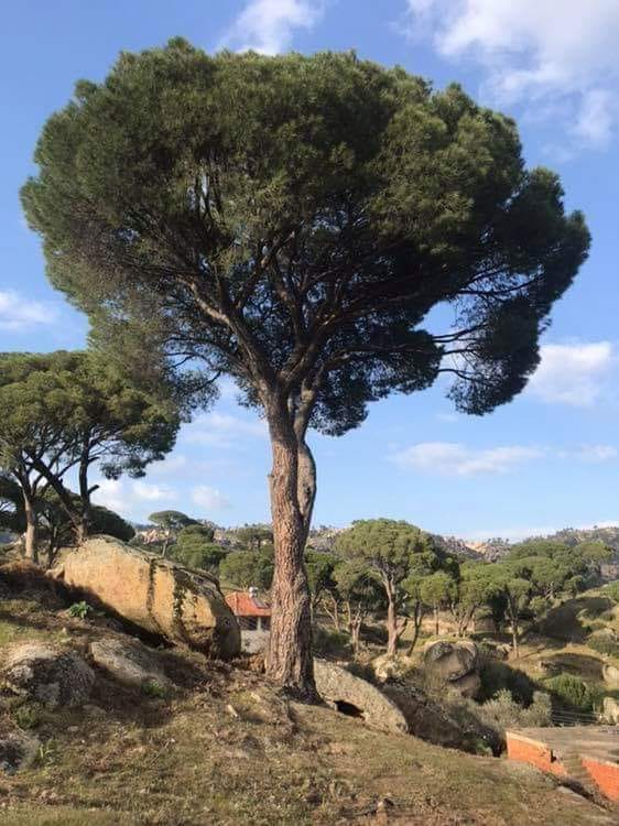 Yatağan Gökgedik Köyü Resimleri 3