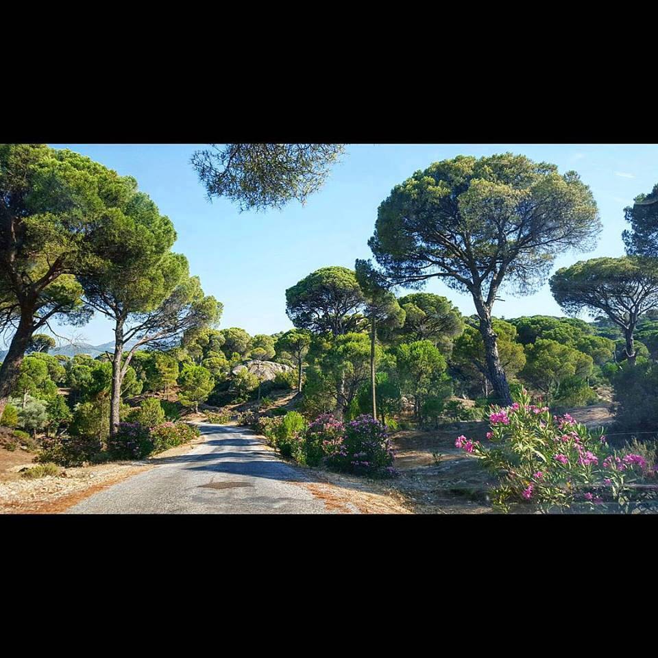 Yatağan Gökgedik Köyü Resimleri 4