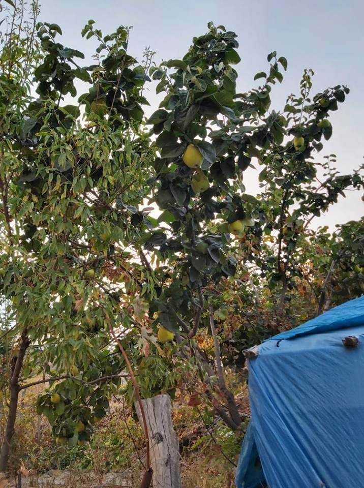 Ulukışla  Eminlik Köyü Resimleri 8