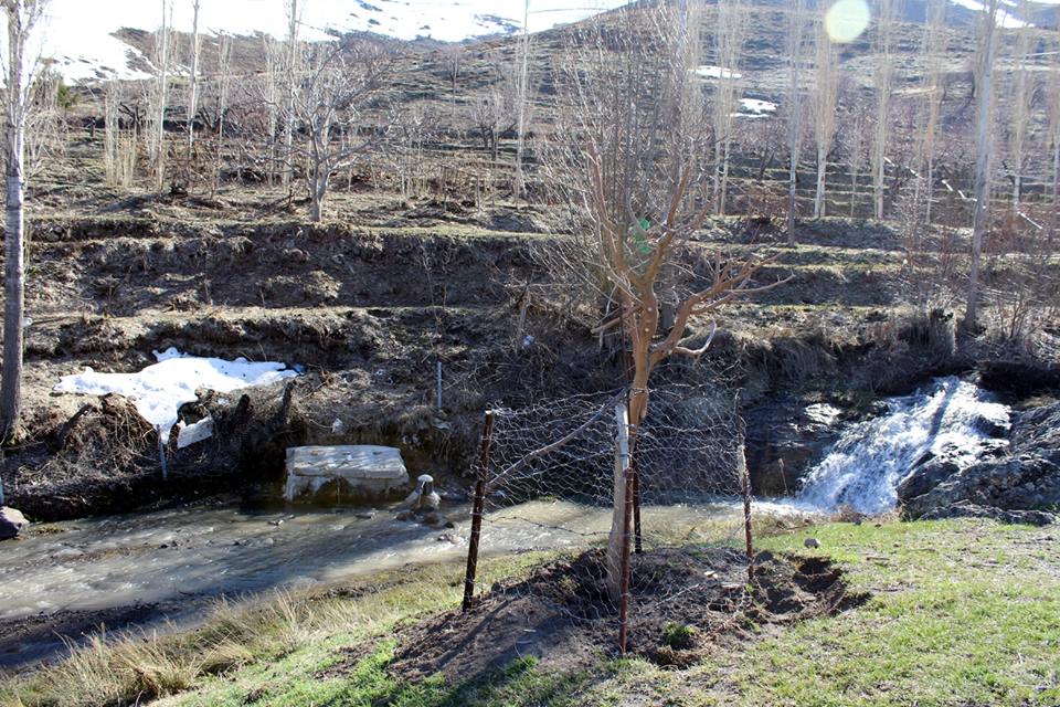 Ulukışla  Gedelli Köyü Resimleri 7