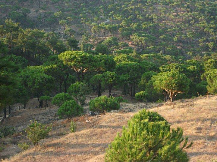 Yatağan Hacıveliler Köyü Resimleri 8