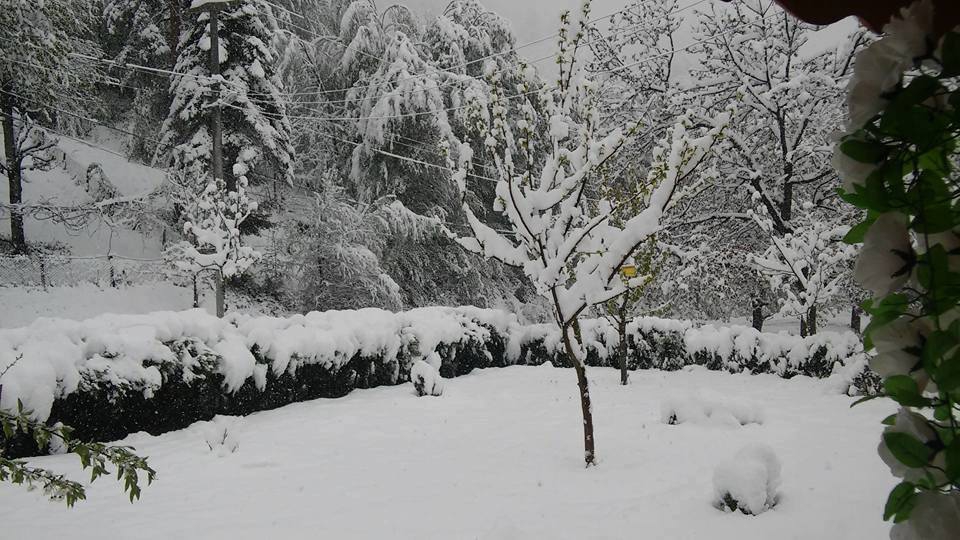 Hendek Dikmen Köyü Resimleri 2