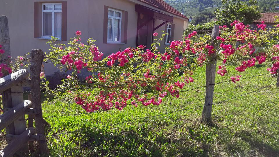 Hendek Dikmen Köyü Resimleri 5