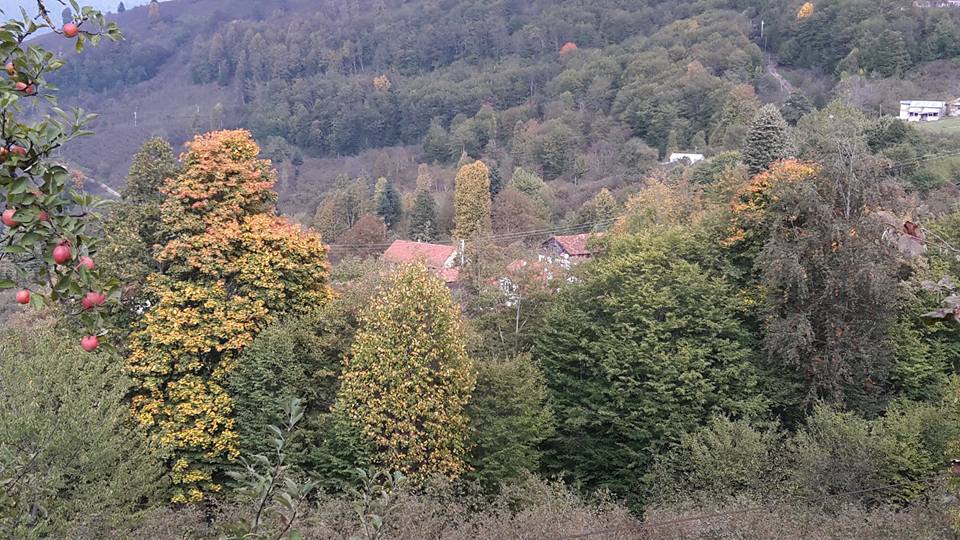 Hendek Dikmen Köyü Resimleri 6