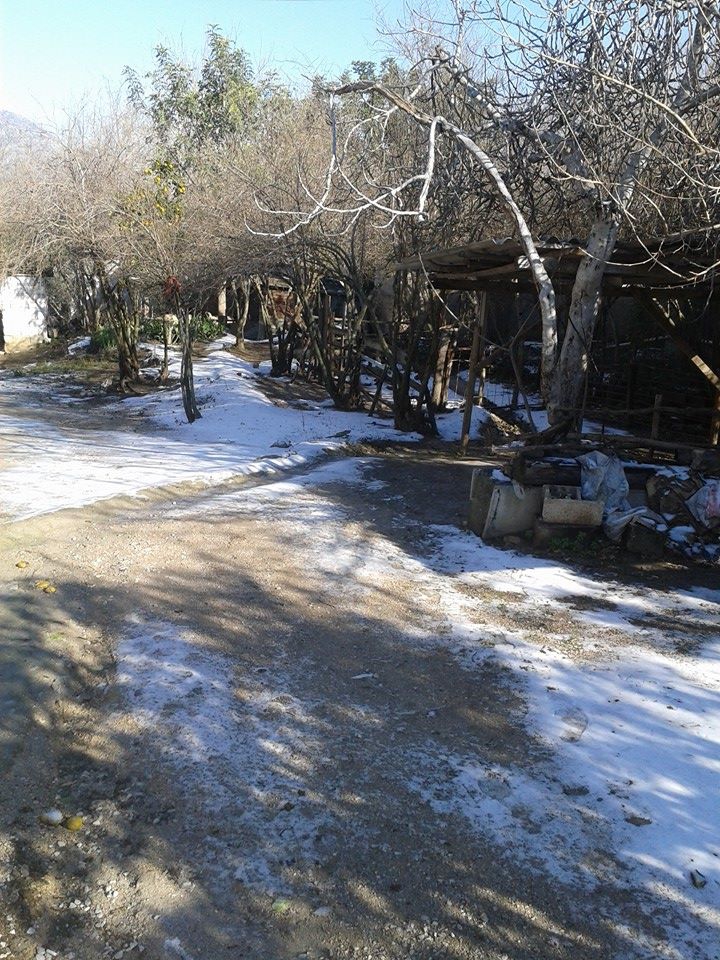Adana Yüreğir Çelemli Köyü Resimleri 6