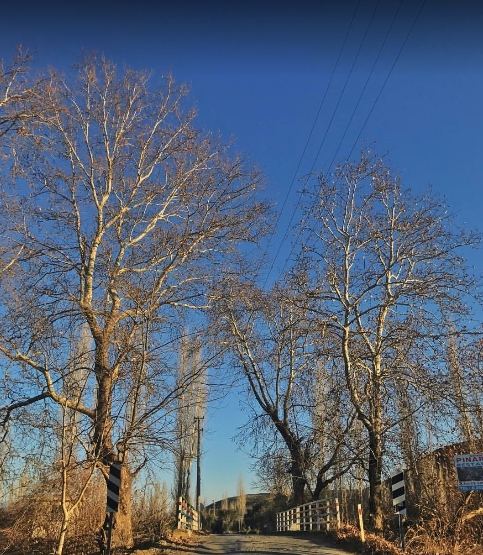 Yatağan Kapubağ Köyü Resimleri 4