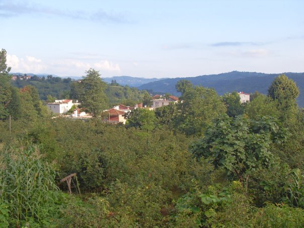 Çamaş Çavuşbaşı Köyü Resimleri 3