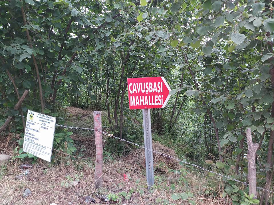 Çamaş Çavuşbaşı Köyü Resimleri 4