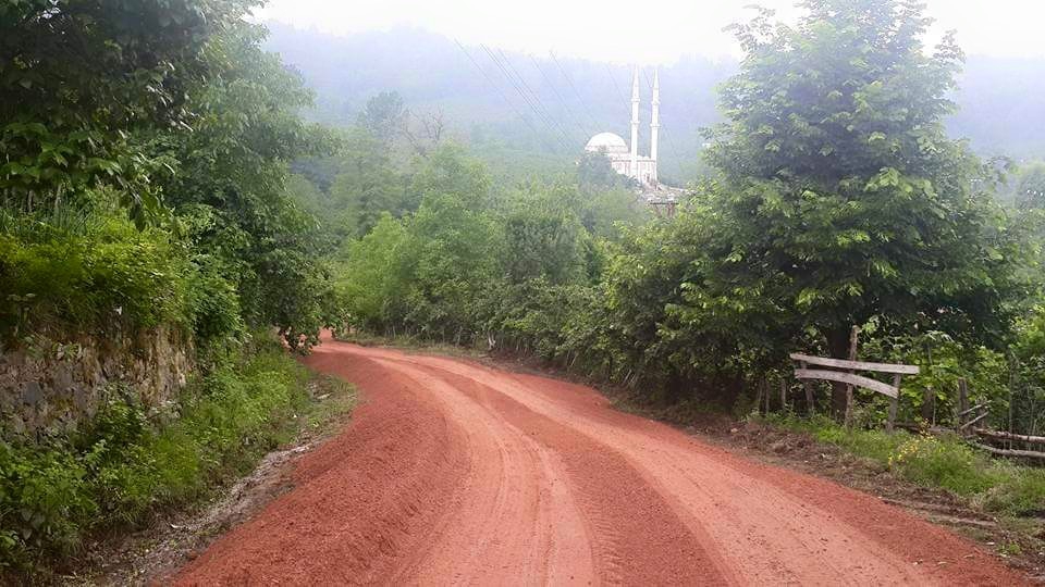 Çamaş Danışman Köyü Resimleri 1