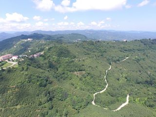 Çamaş Danışman Köyü Resimleri 5