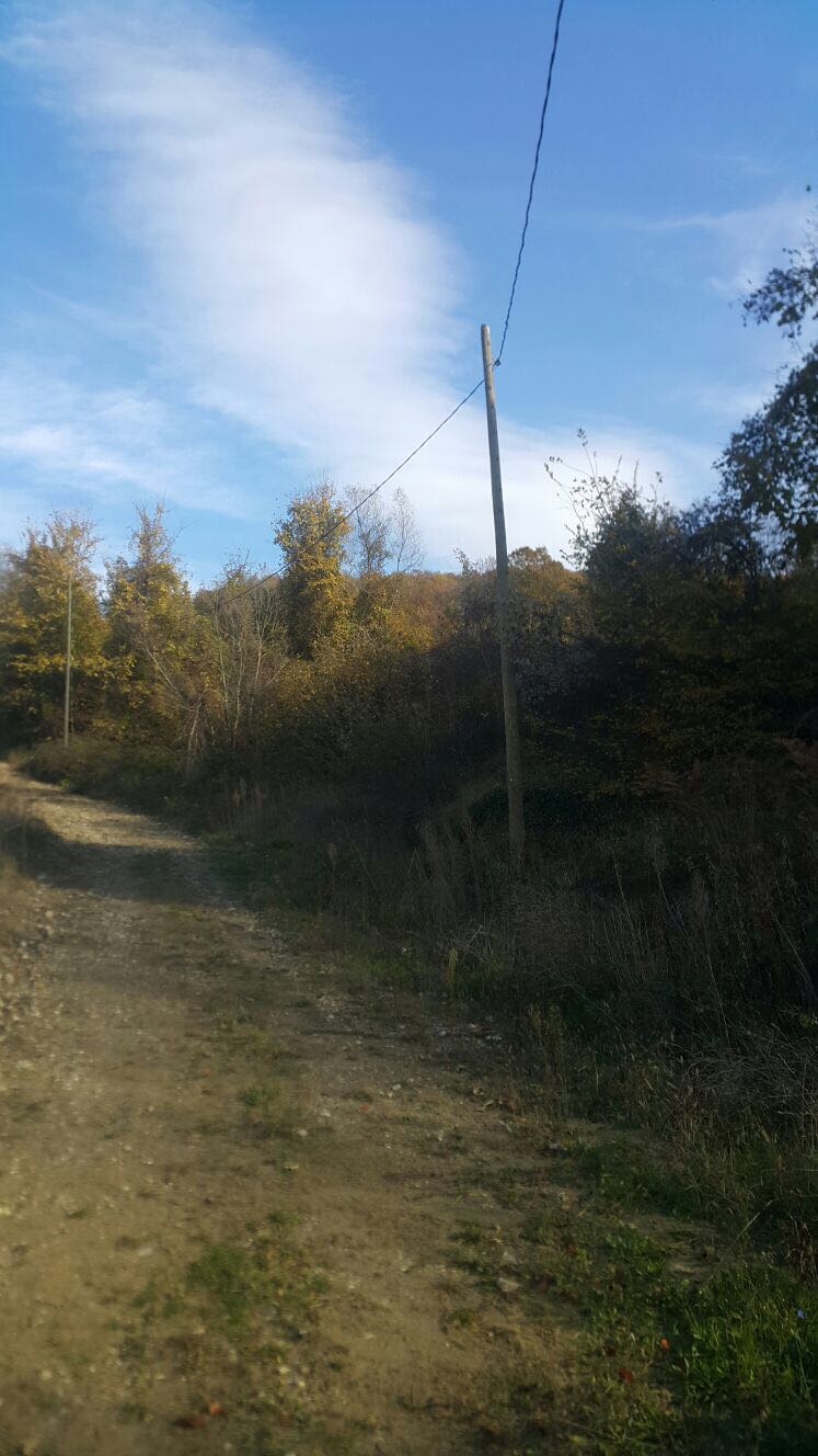 Sakarya Çınardibi Köyü Resimleri 4