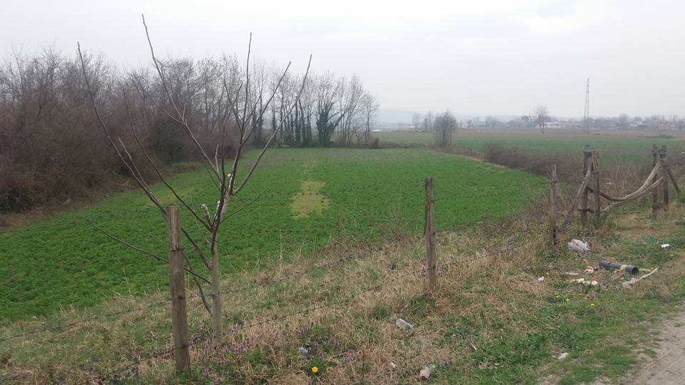 Sakarya Çınardibi Köyü Resimleri 6