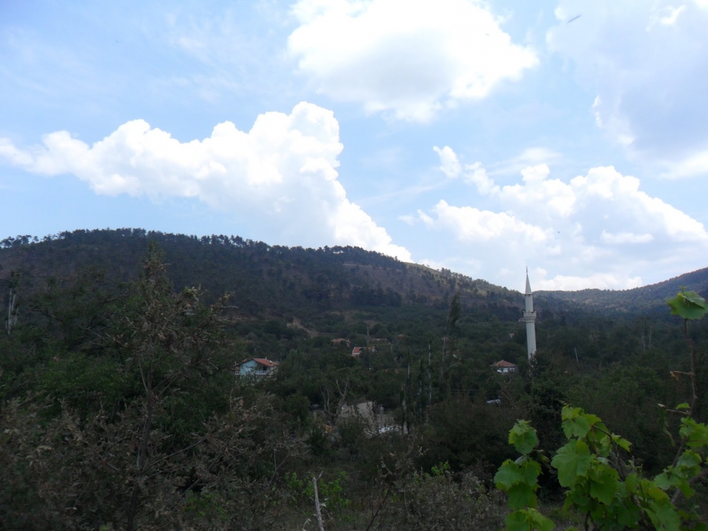 Sakarya Çınardibi Köyü Resimleri 7