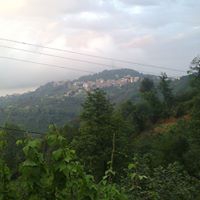 Çamaş Giden Köyü Resimleri 1