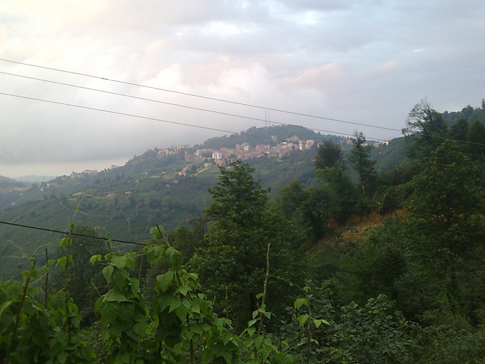 Çamaş Giden Köyü Resimleri 2