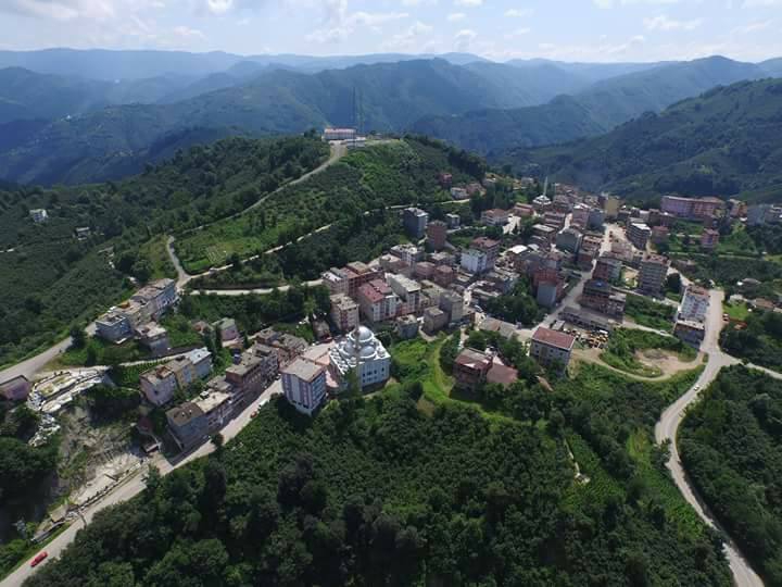 Çamaş Giden Köyü Resimleri 6
