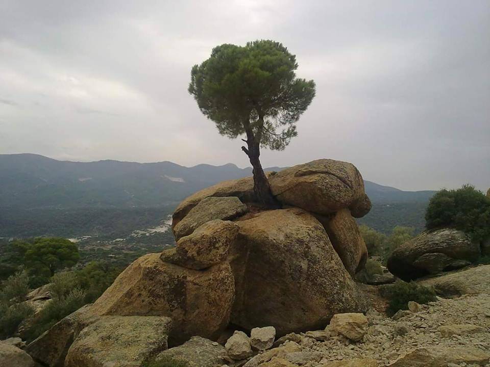 Yatağan Turgutlar Köyü Resimleri 3