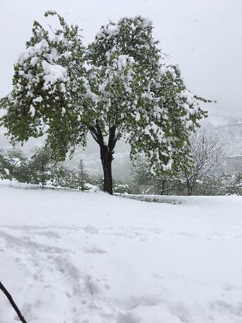 Hendek Göksu Köyü Resimleri 1